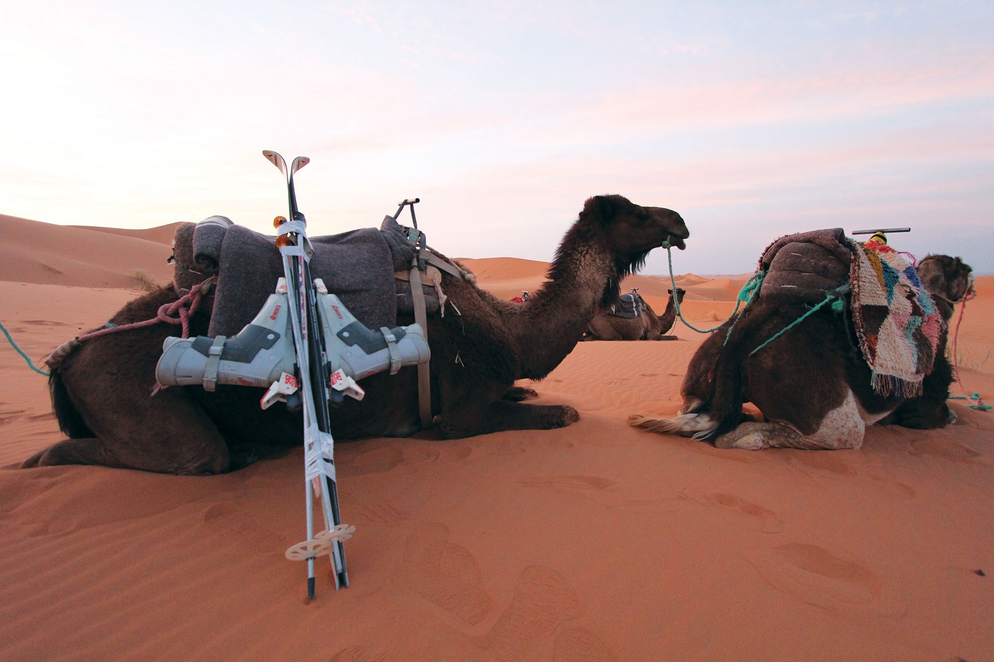 Sahara ski